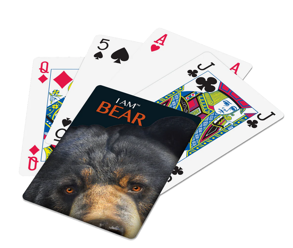 I Am Bear Playing Cards