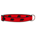 Black Bear Collar