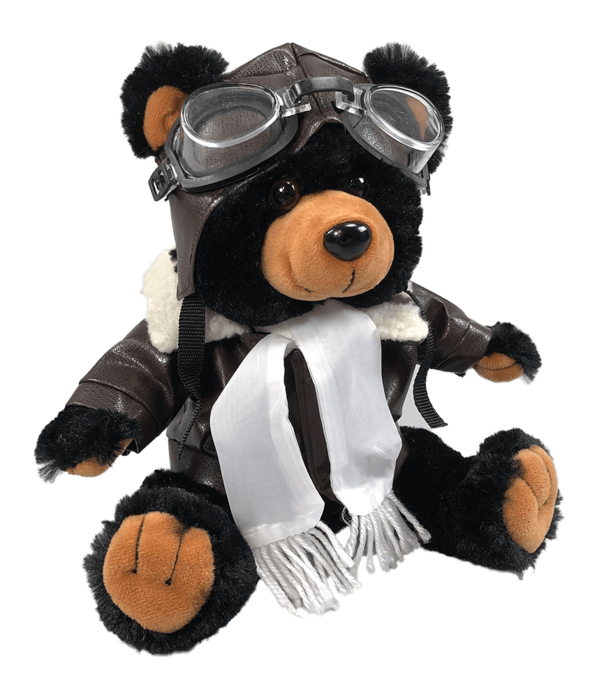 Teddy Bear Aviator
