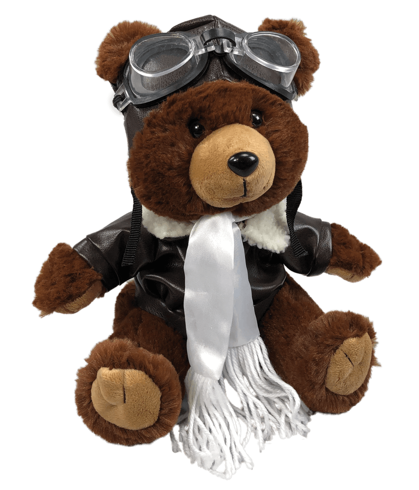 Teddy Bear Aviator