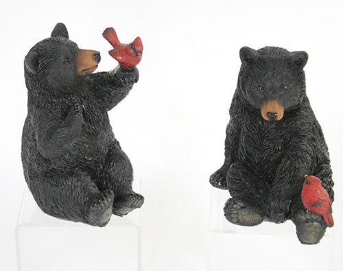 Bear with Cardinal